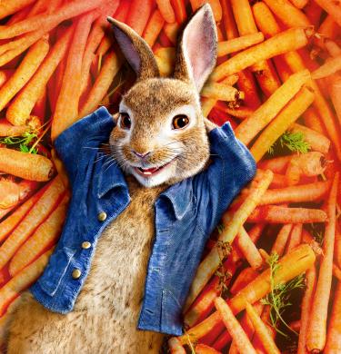 Peter Rabbit Banner